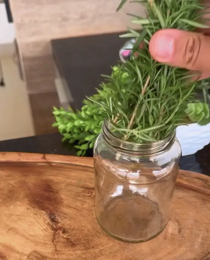 Preparo de Chá Natural